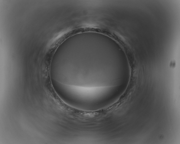 X0000112971303200908271131