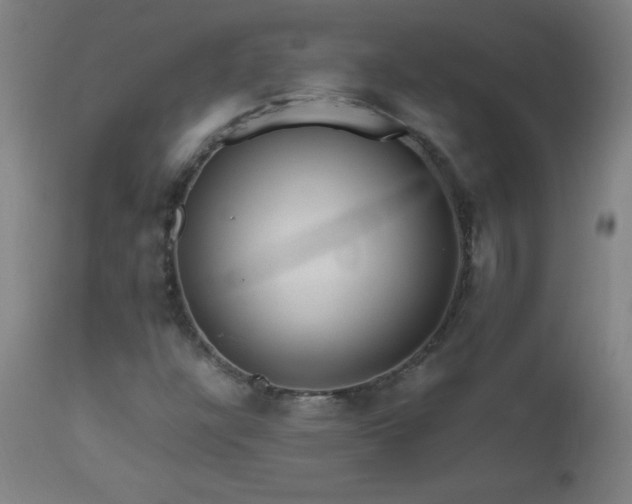 X0000112971304200908271131