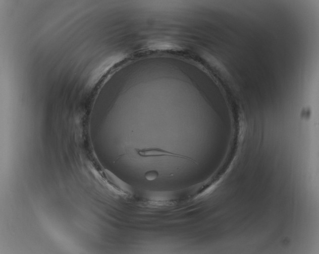 X0000112971305200908271131