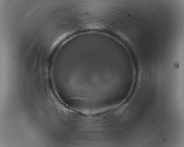 X0000112971306200908271131