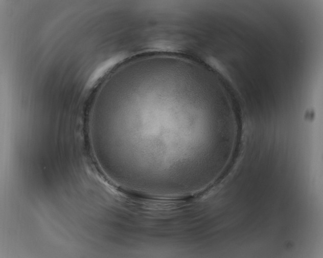 X0000112971307200908271131