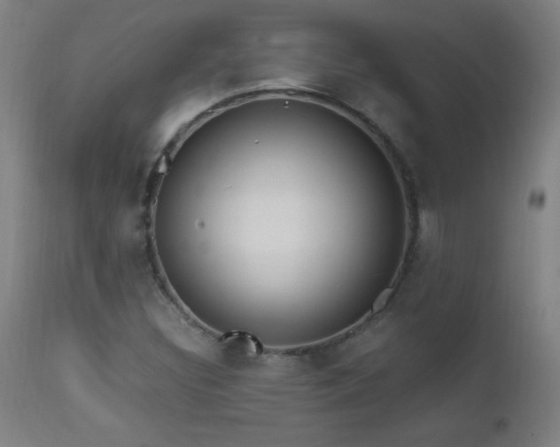 X0000112971308200908271131