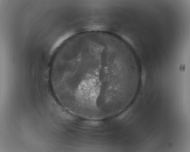 X0000112971309200908271131