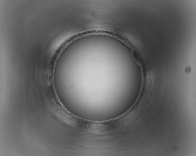 X0000112971310200908271131