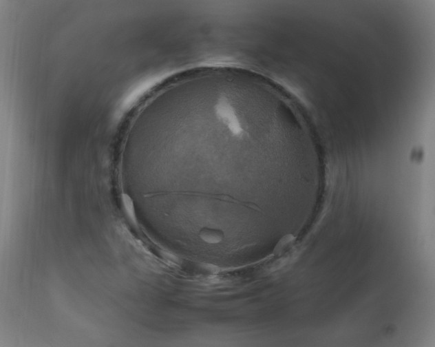 X0000112971311200908271131