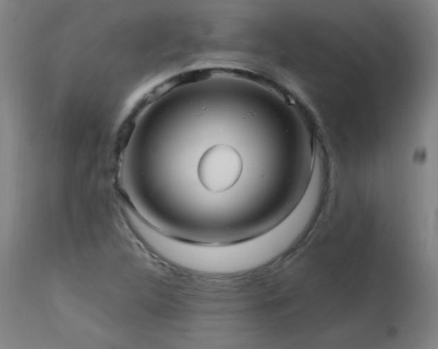 X0000112971312200908271131