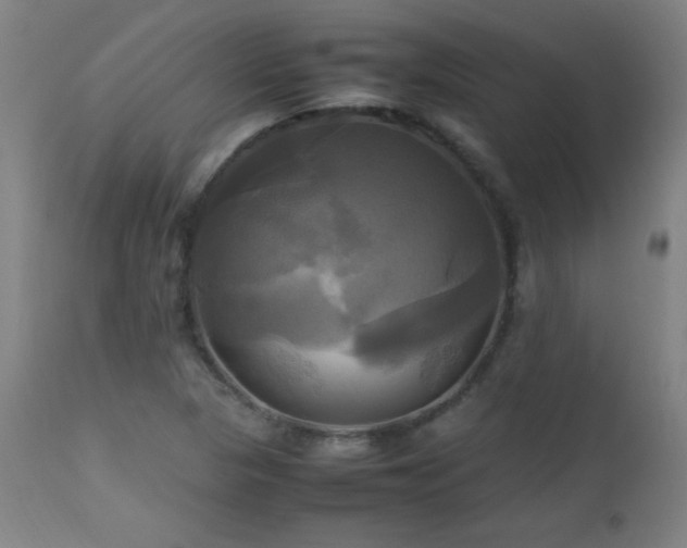 X0000112971313200908271131