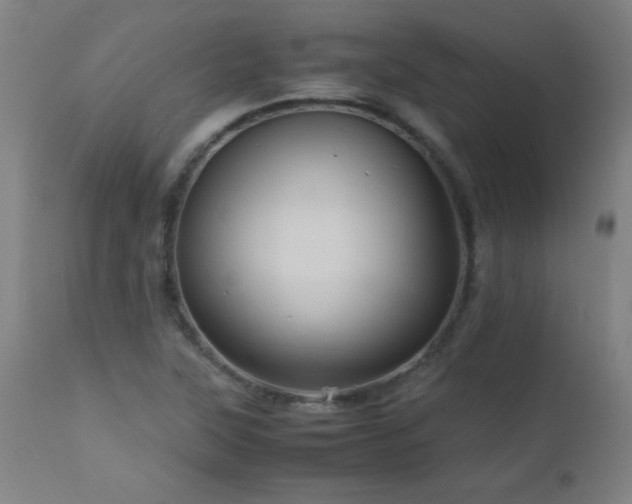 X0000112971315200908271131