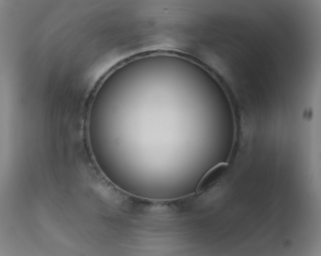 X0000112971316200908271131