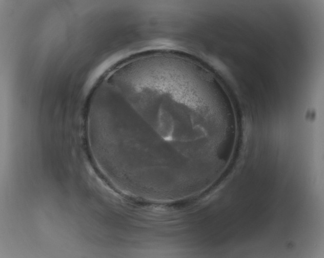 X0000112971318200908271131