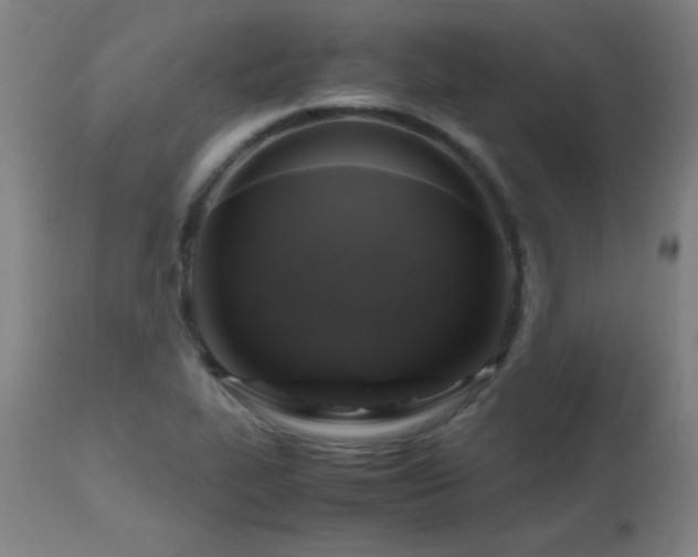 X0000112971319200908271132