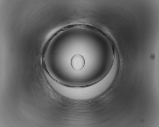X0000112971320200908271132