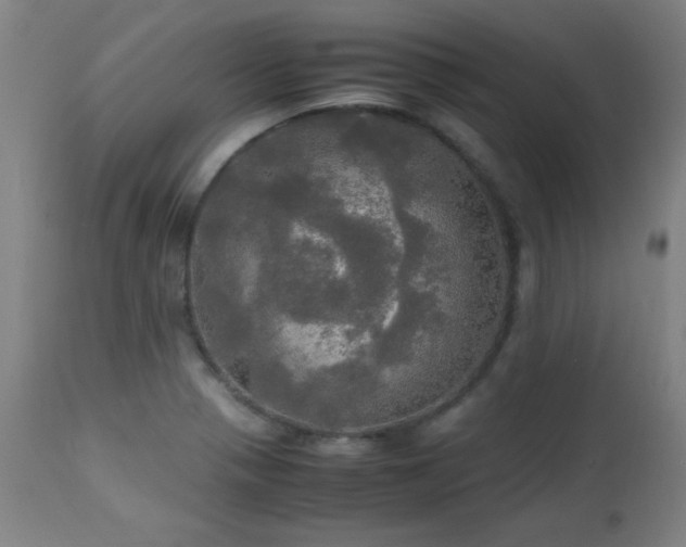 X0000112971321200908271132
