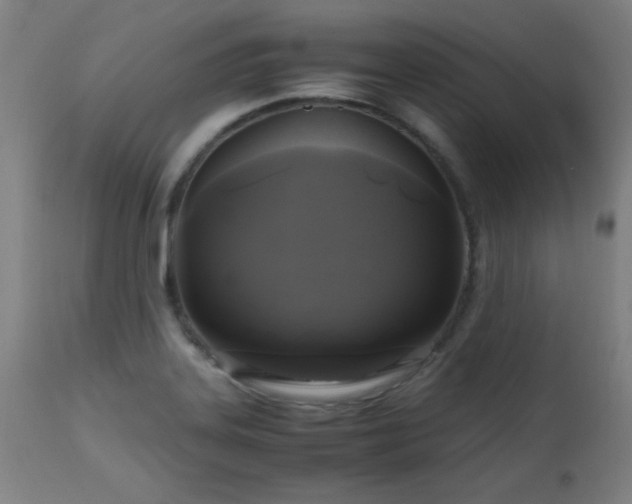 X0000112971323200908271132