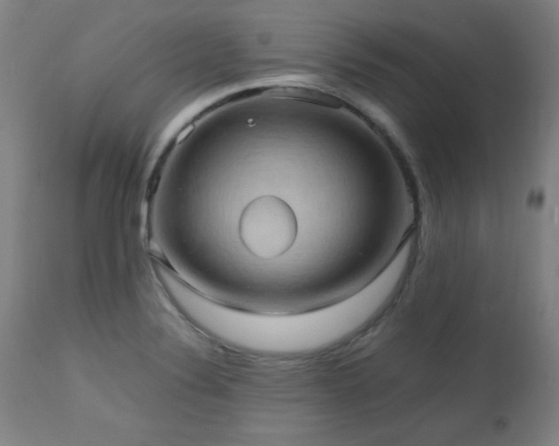 X0000112971324200908271132