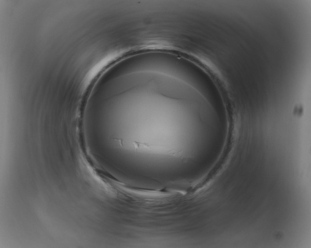 X0000112971325200908271132