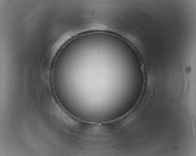 X0000112971326200908271132