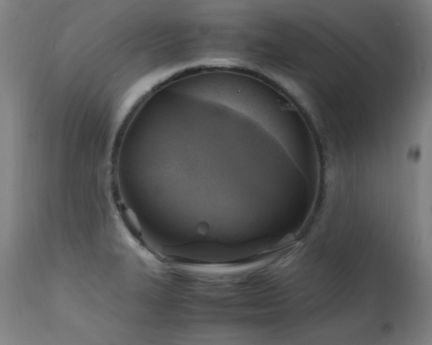 X0000112971327200908271132