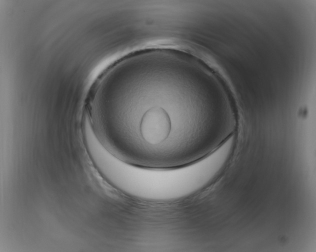 X0000112971328200908271132