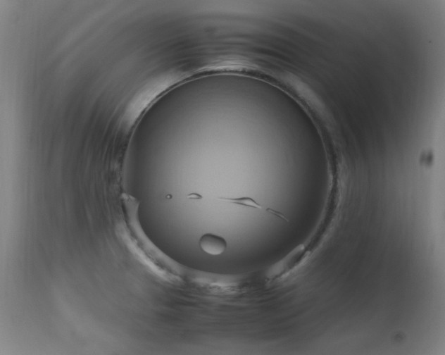 X0000112971329200908271132