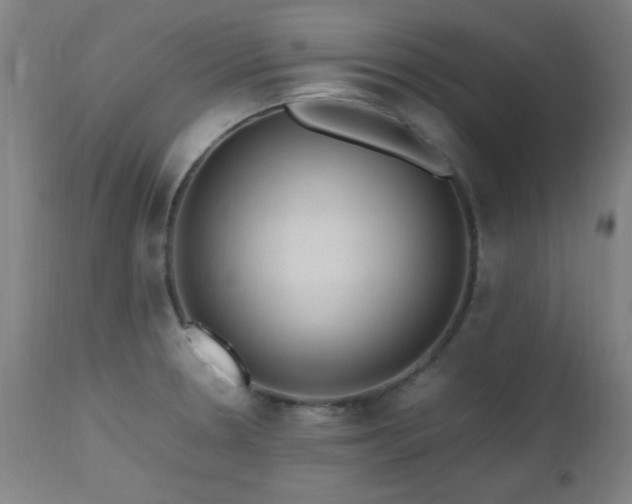 X0000112971330200908271132