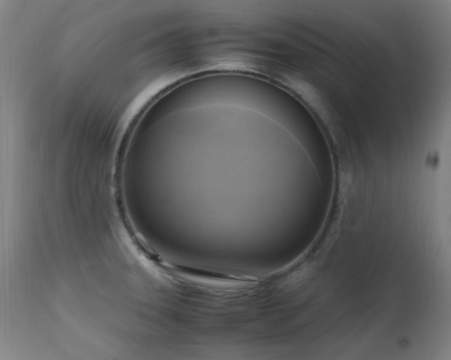 X0000112971331200908271132