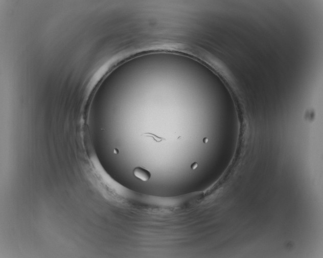 X0000112971332200908271132