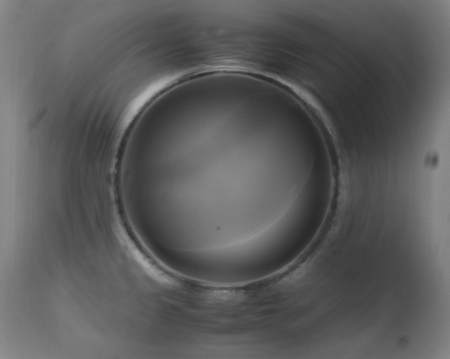 X0000112971333200908271132