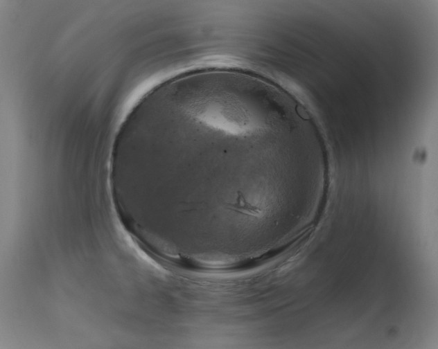 X0000112971334200908271132
