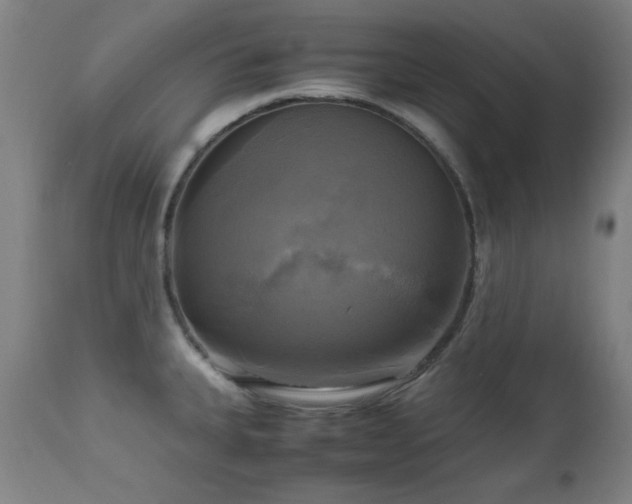 X0000112971335200908271132