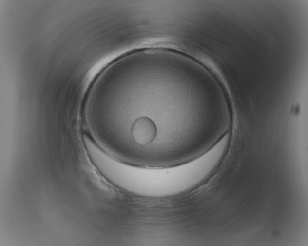 X0000112971336200908271132