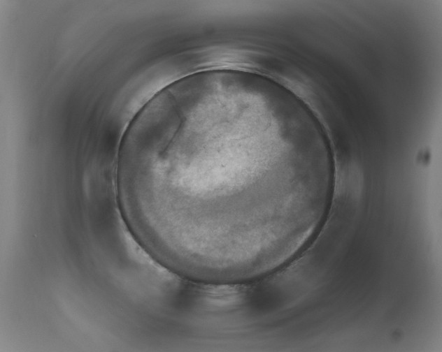 X0000112971338200908271132