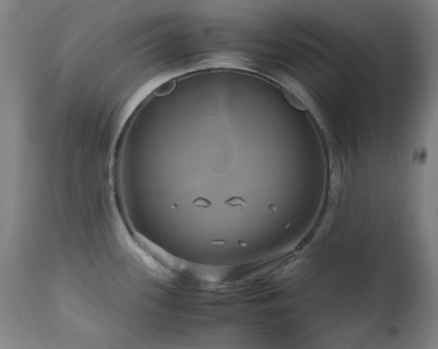 X0000112971339200908271132