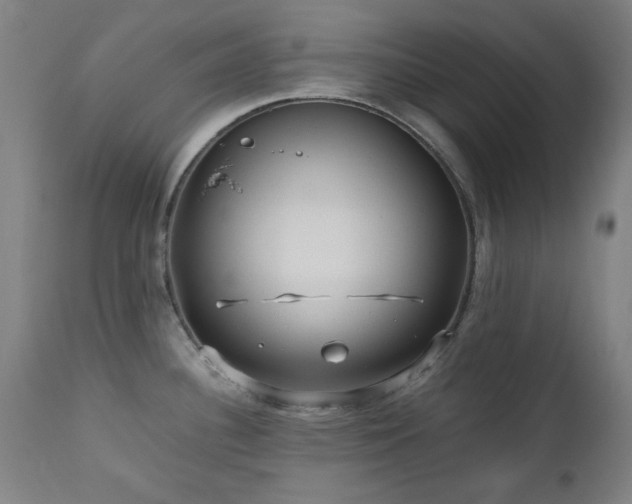 X0000112971340200908271132