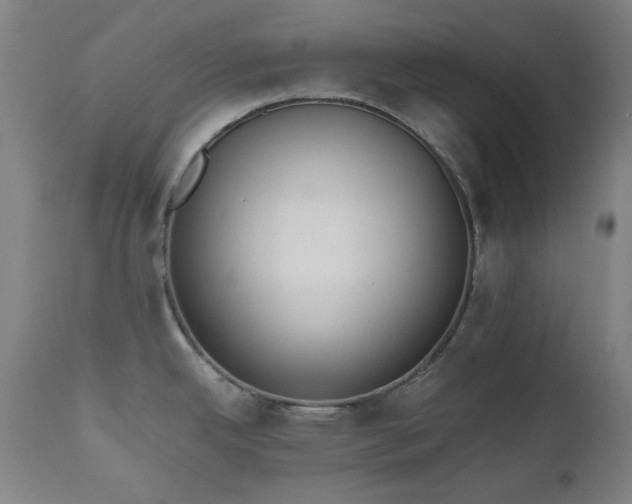 X0000112971342200908271132