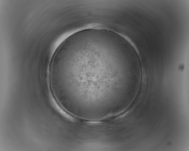 X0000112971343200908271132
