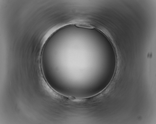 X0000112971344200908271132