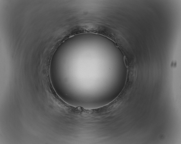 X0000112971345200908271131