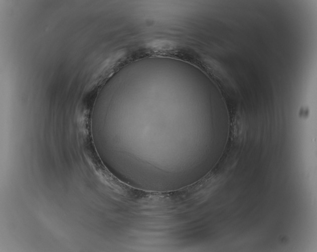 X0000112971346200908271131