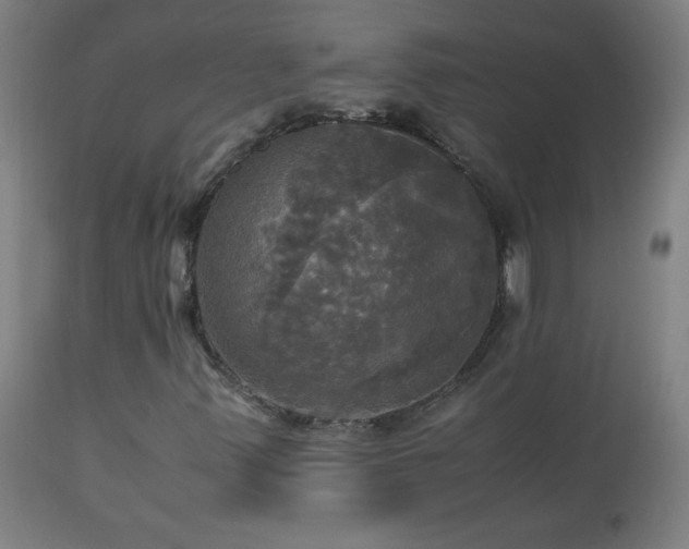 X0000112971347200908271131