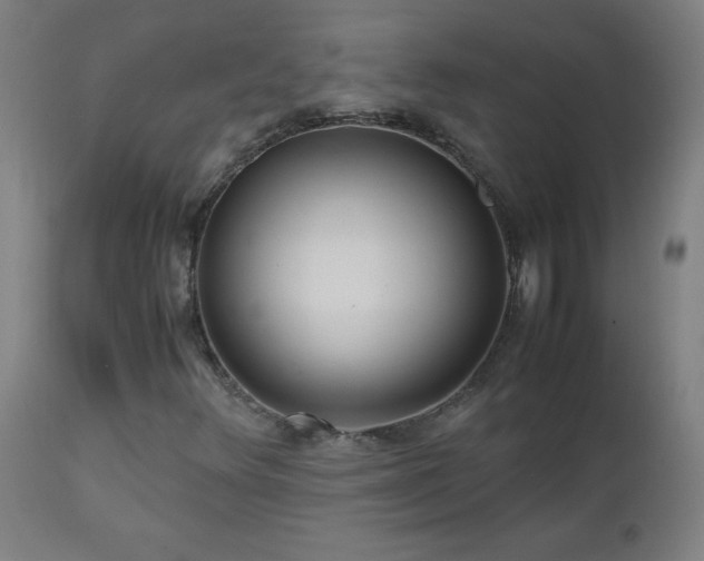 X0000112971348200908271131
