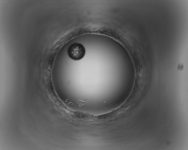 X0000112971349200908271131