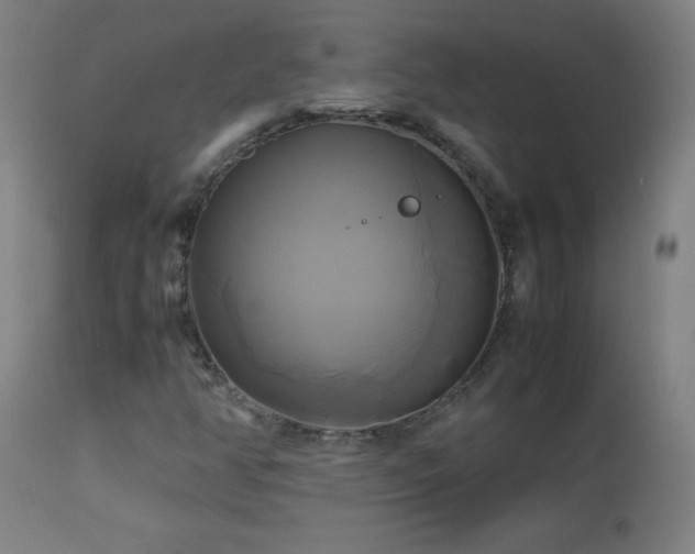 X0000112971350200908271131