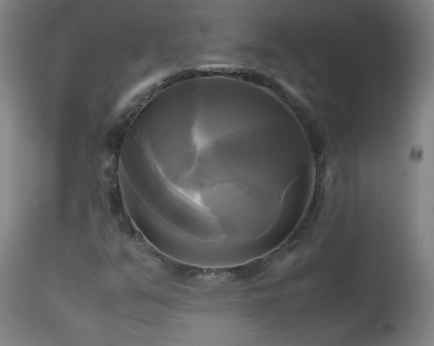 X0000112971351200908271131