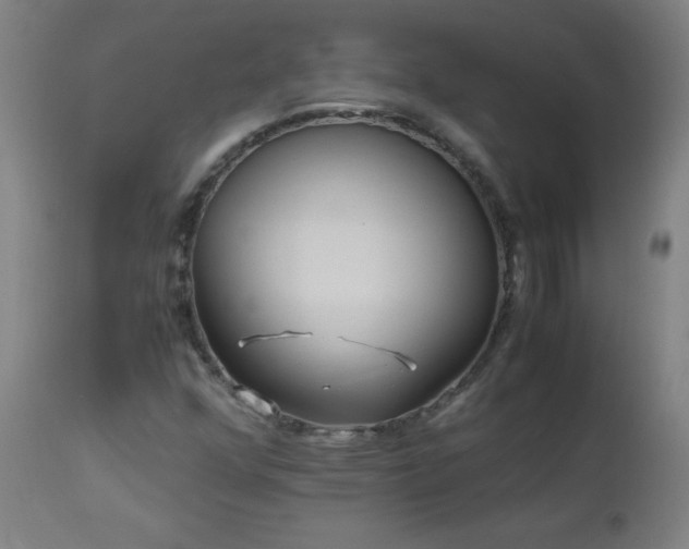 X0000112971352200908271131