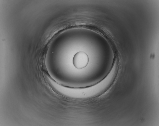 X0000112971353200908271131