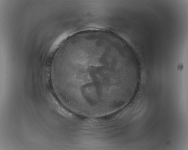 X0000112971355200908271131