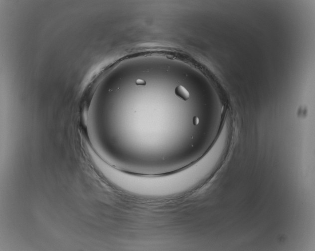 X0000112971357200908271131