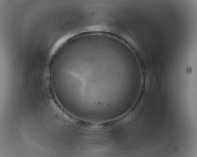 X0000112971358200908271131