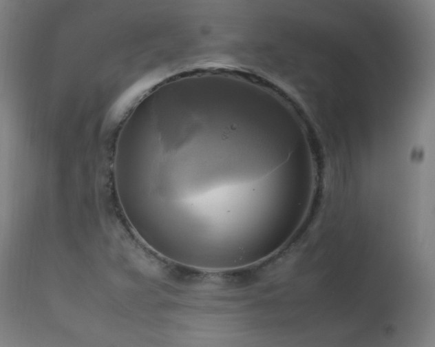 X0000112971359200908271131